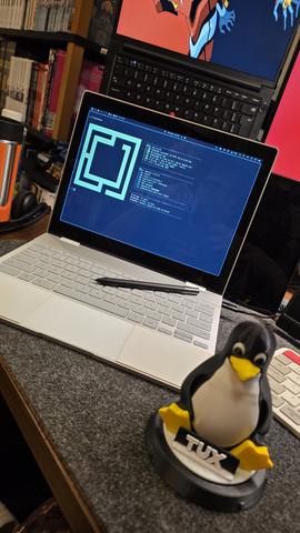 Google Pixelbook EVE (Vibe and Web)