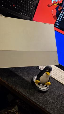 Google Pixelbook EVE (Vibe and Web)